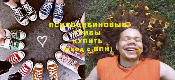 ГАЛЛЮЦИНОГЕННЫЕ ГРИБЫ Абинск