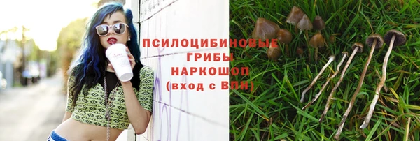 ECSTASY Абаза