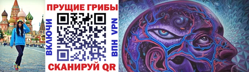 KRAKEN ТОР  Краснозаводск  Галлюциногенные грибы MAGIC MUSHROOMS 
